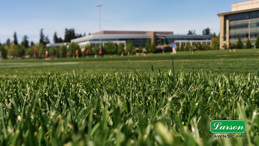 Larson Lawnscape Commercial Larson Lawnscape Commercial