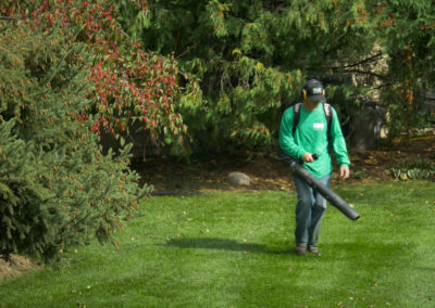 Lawn Blowing