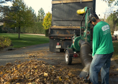 Fall Clean Up