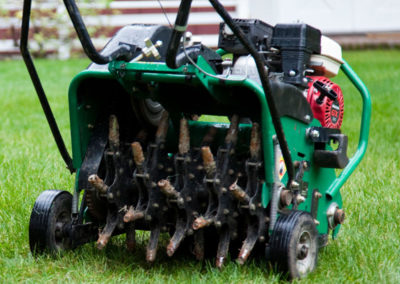 Lawn Aeration