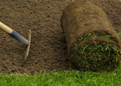 Sod Installation